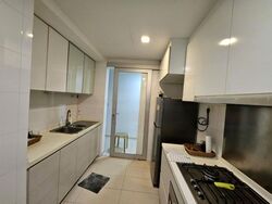 Oasis @ Elias (D18), Condominium #475505461